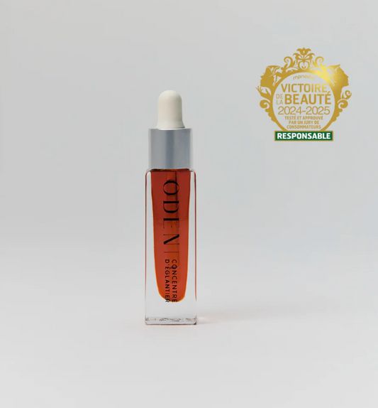 CONCENTRÉ D'ÉGLANTIER